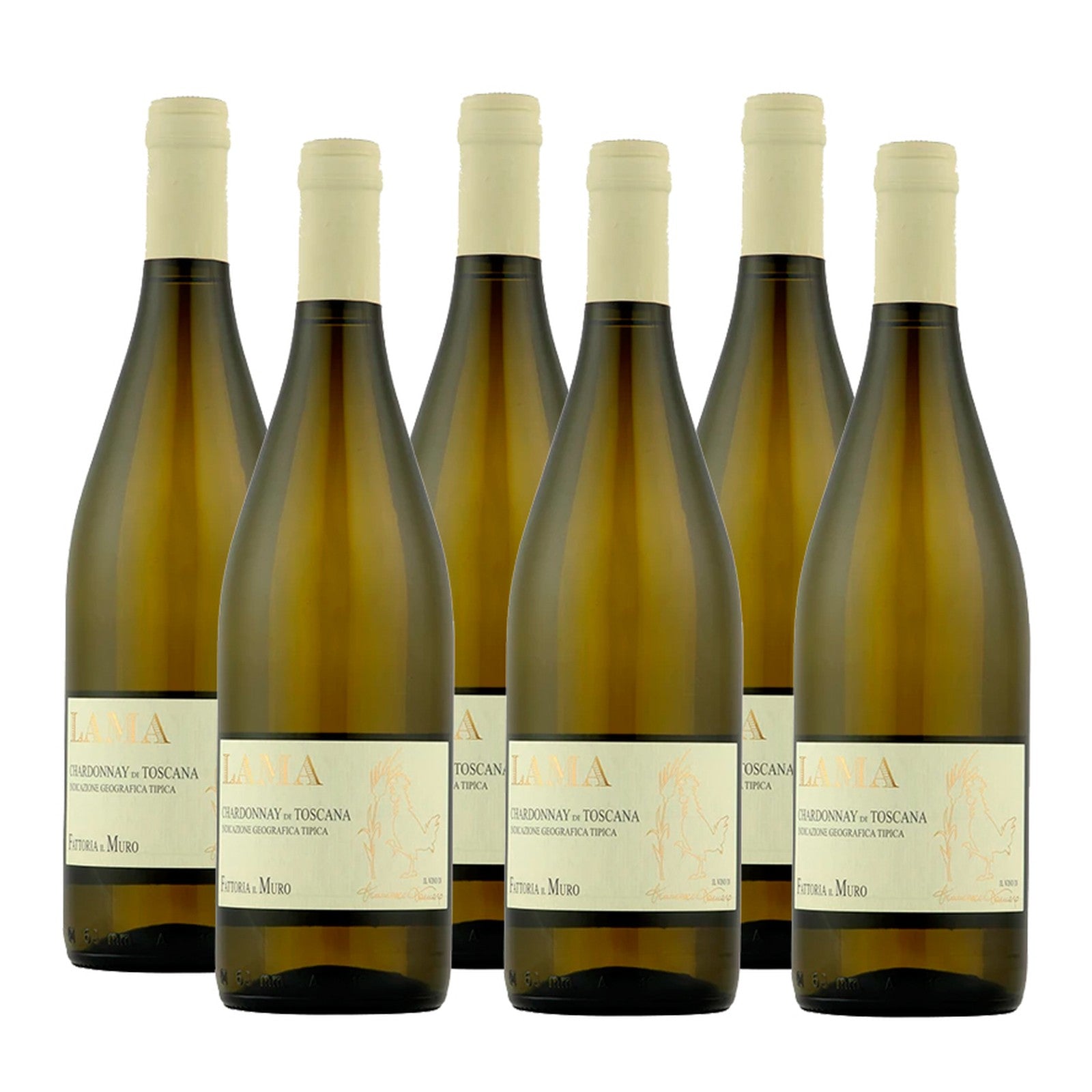 Fattoria il Muro Toscana Chardonnay LAMA IGP