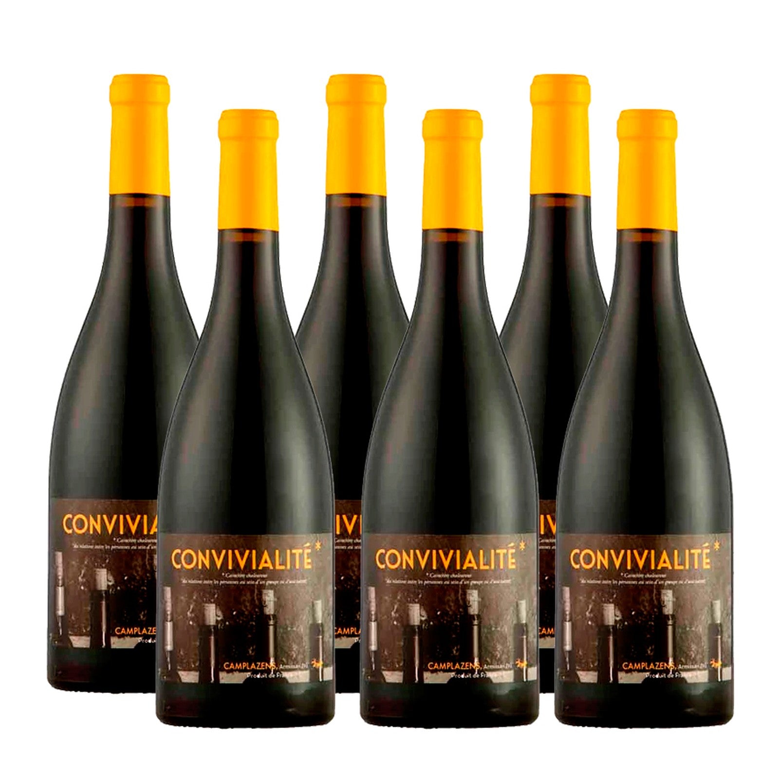 Chateau Camplazens Convivialite