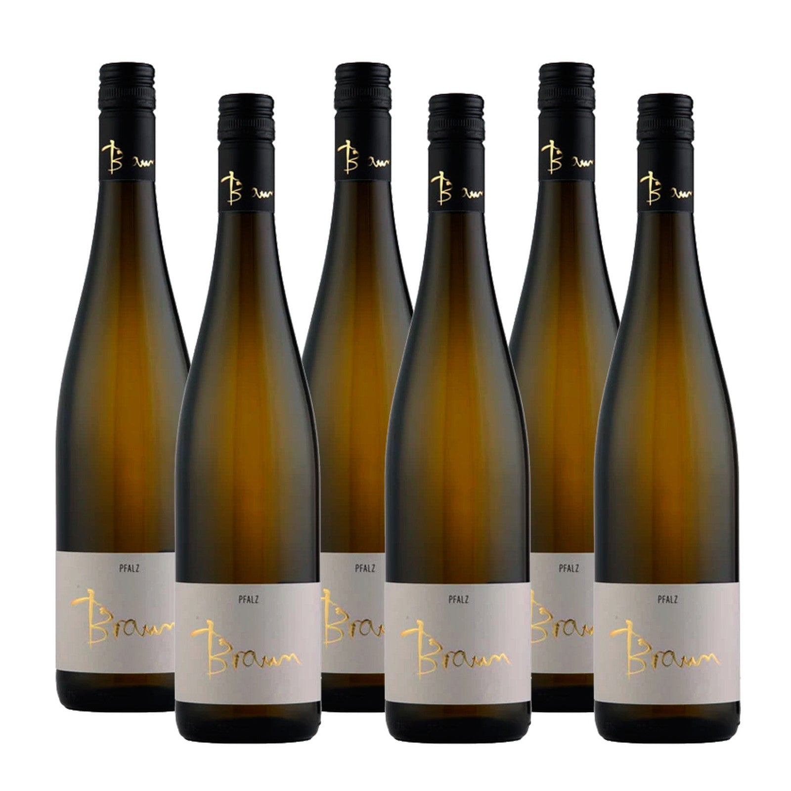 Braun Alltag Riesling Trocken B