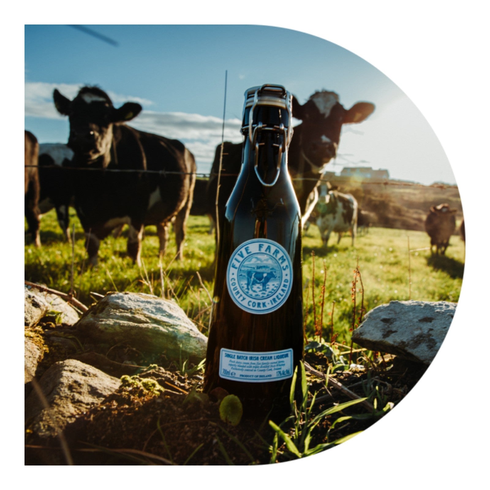 Five Farms Irish Cream Liqeur