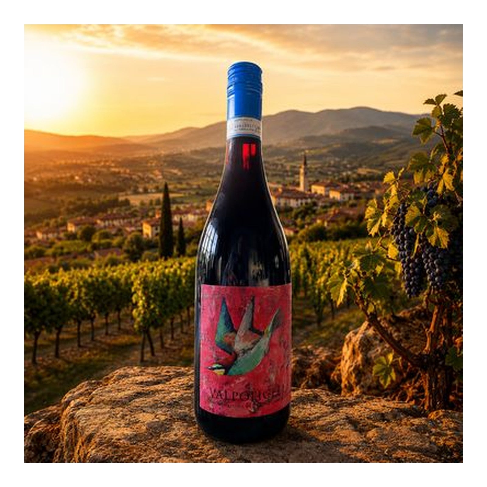 San Cassiano Valpolicella DOC Superiore "BIO"