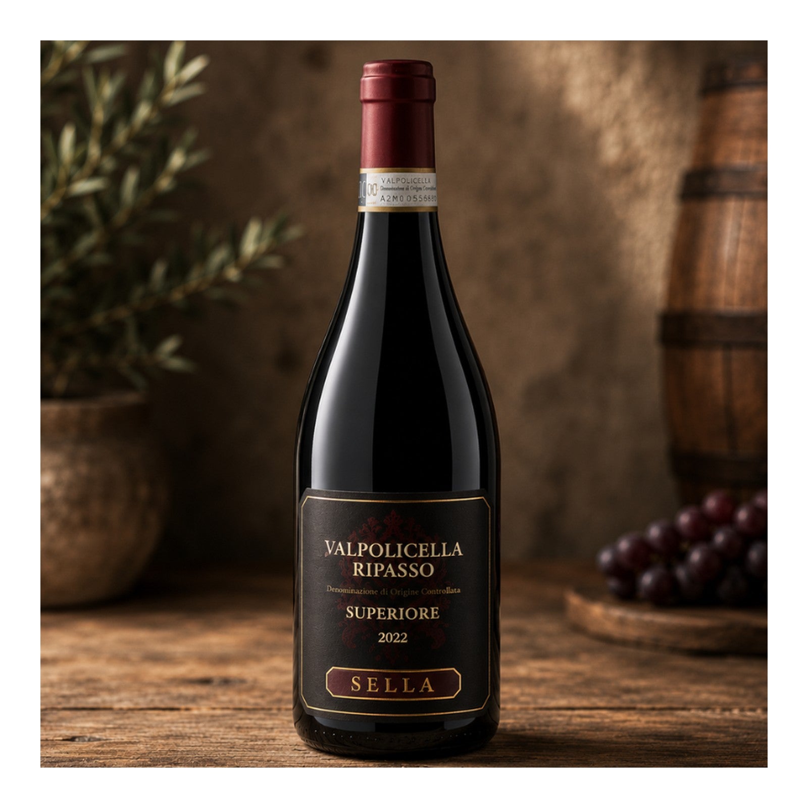 San Cassiano Valpolicella Ripasso DOC "SELLA"
