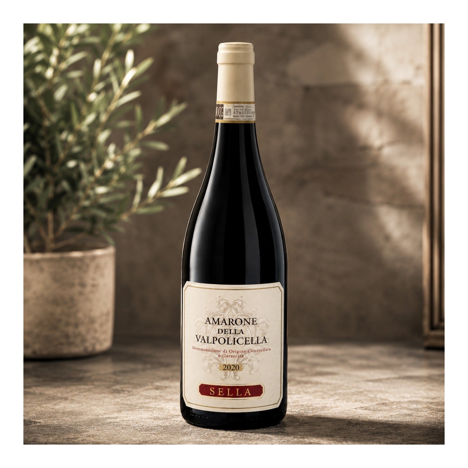 San Cassiano Amarone della Valpolicella DOCG "SELLA"
